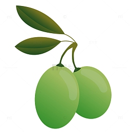 青翠橄榄果