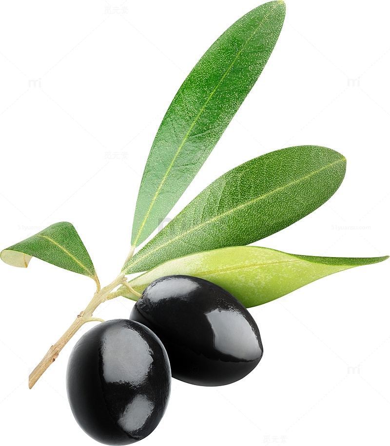 新鲜黑橄榄