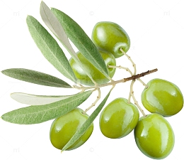 绿色橄榄