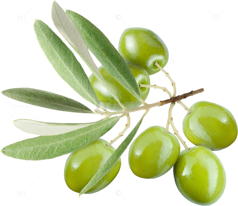 绿色橄榄
