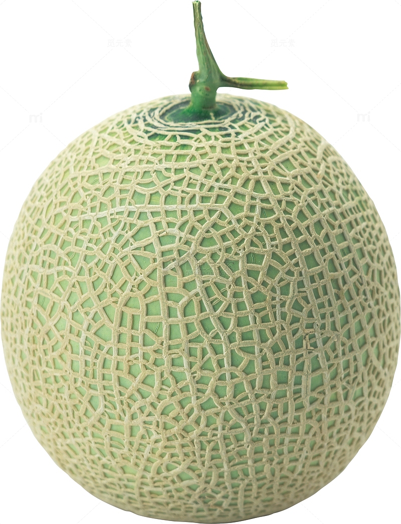 一个哈密瓜