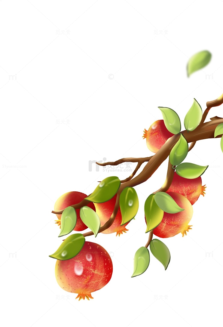 秋分水果枝头红石榴新鲜水果石榴果实