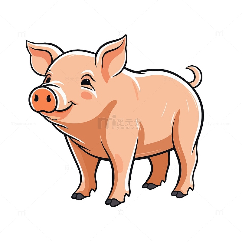 可爱的小猪猪插画