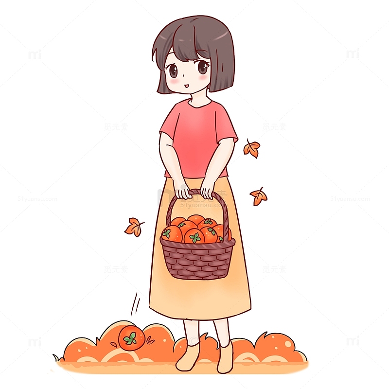 秋分收获柿子的女孩