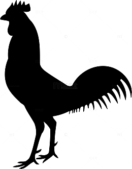 大公鸡剪影