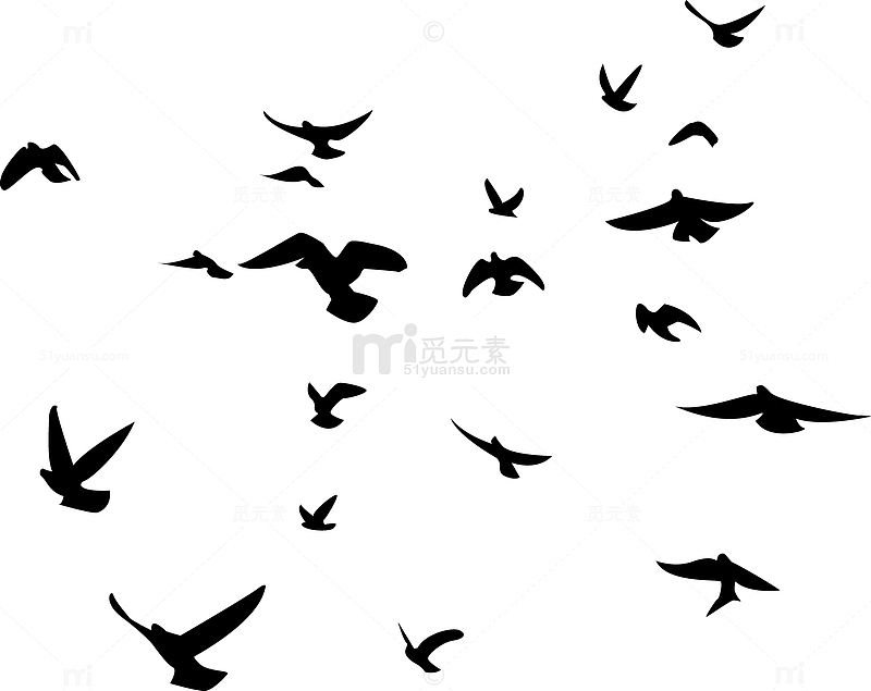 黑色飞翔的海鸥