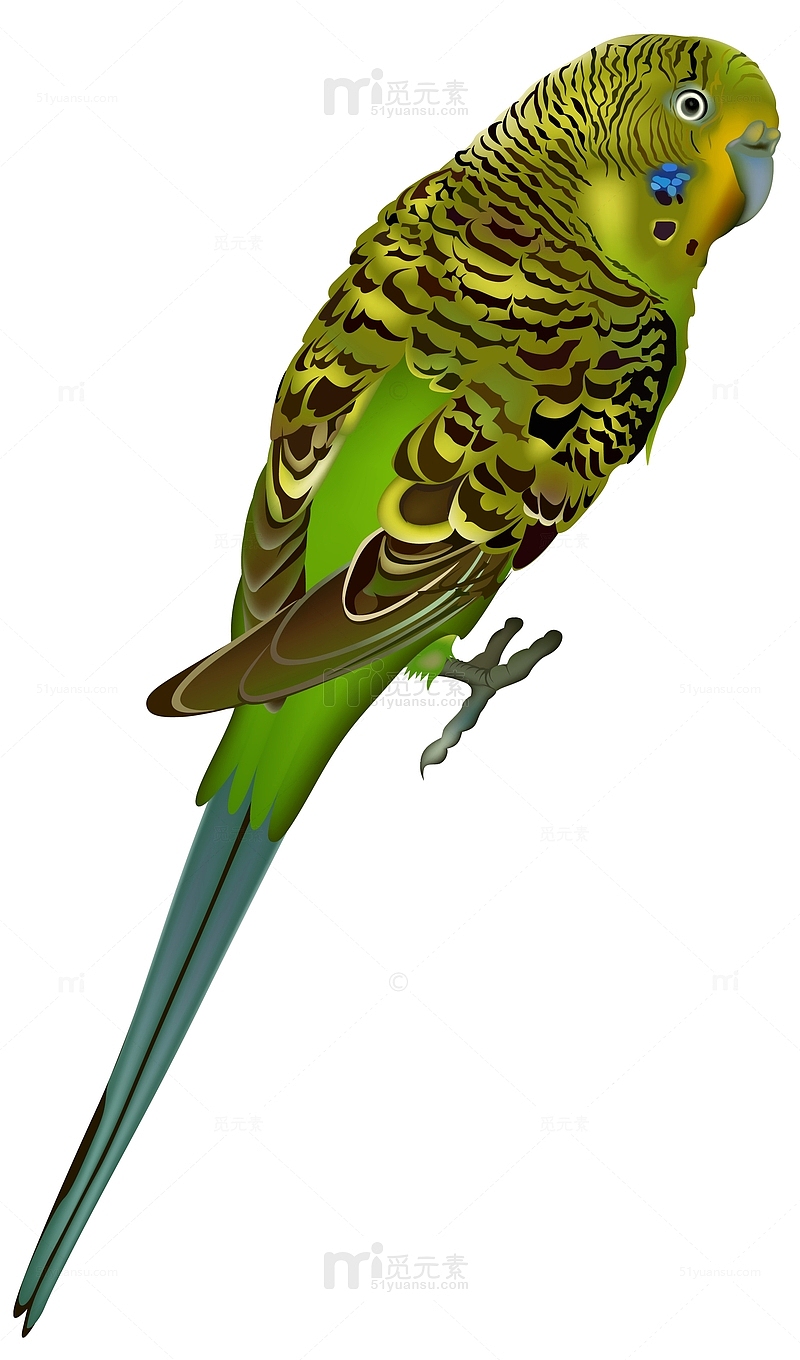 绿色手绘鸟