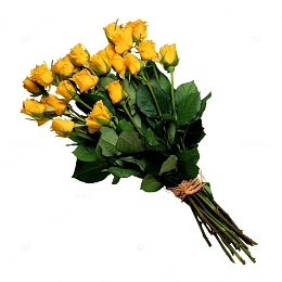一束花束