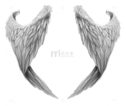 环抱的白色翅膀