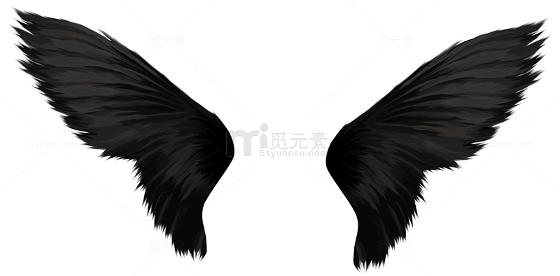 展开的黑色翅膀