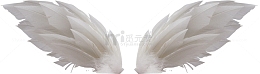 一对白色翅膀