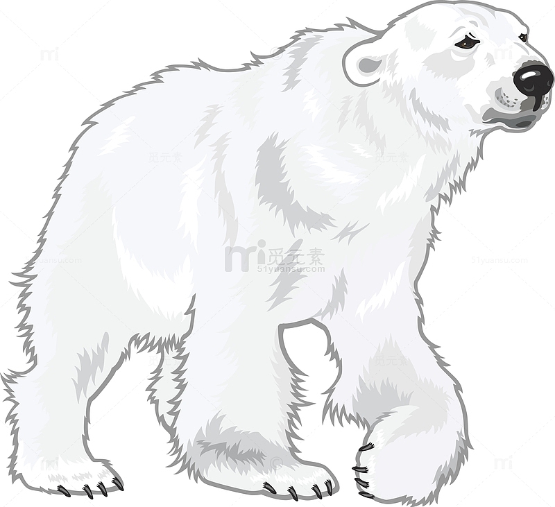 卡通北极白熊