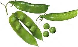 绿色豌豆