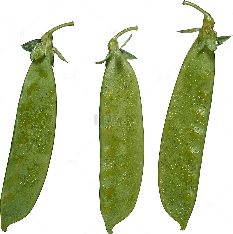 四籽豌豆
