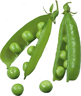 绿色豌豆