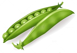 豌豆青豆手绘