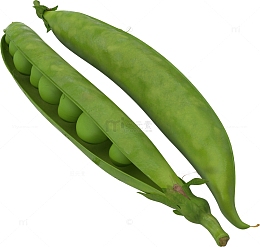 碧绿的豌豆荚