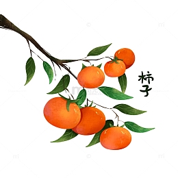 手绘水果柿子寒露白露节气装饰元素