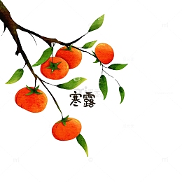 手绘水果柿子树枝寒露字体设计元素