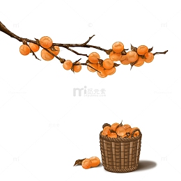 寒露柿子元素