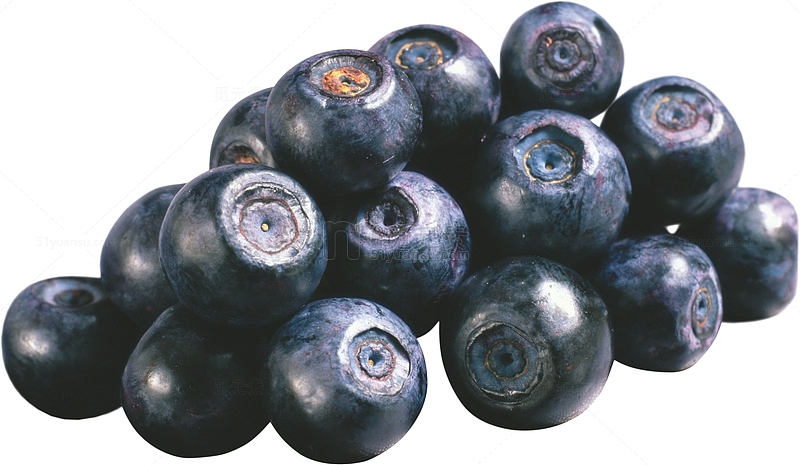 新鲜蓝莓果实拍特写