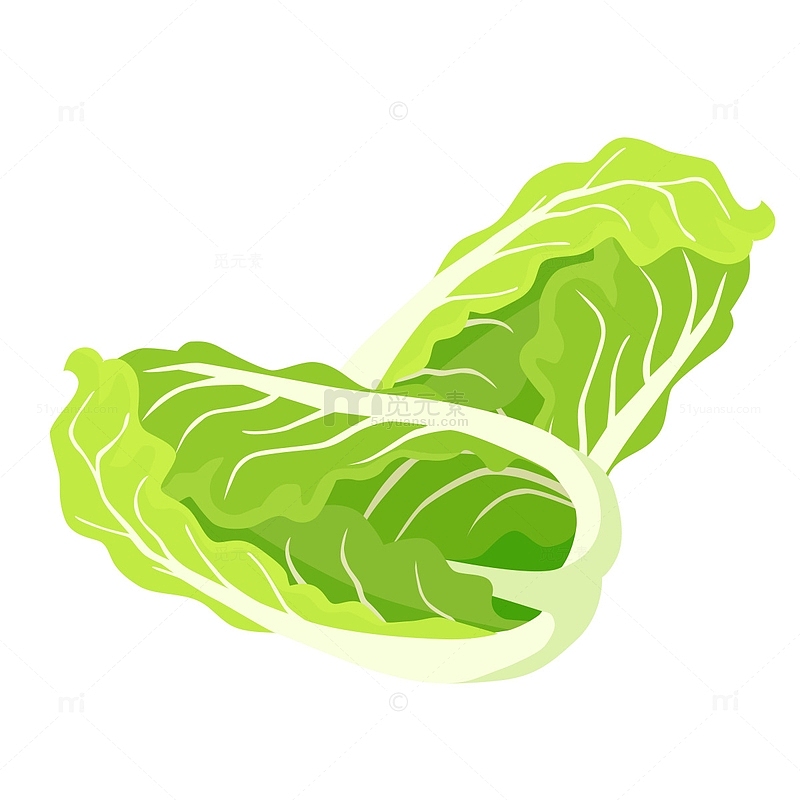 绿色蔬菜生菜手绘元素
