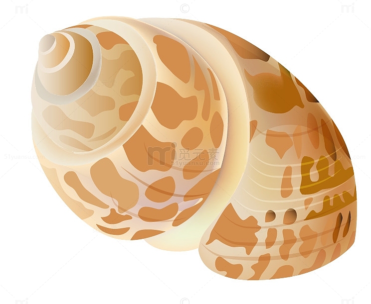 卡通手绘海螺贝壳