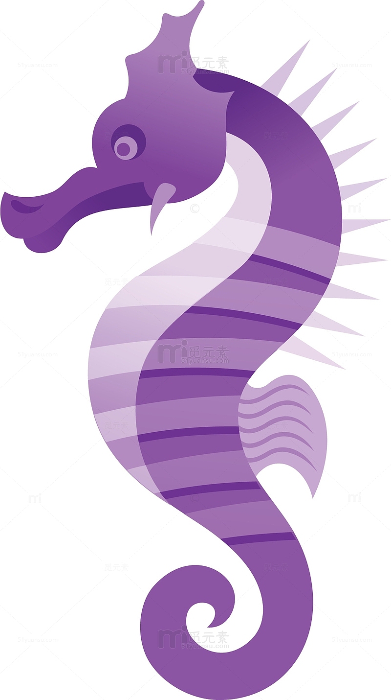 紫色海马