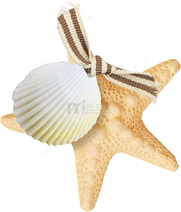贝壳和海星