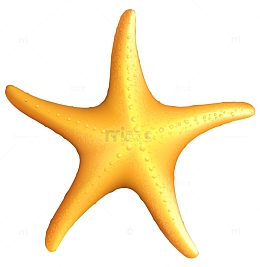 卡通手绘海星