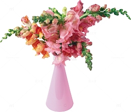 粉色花瓶