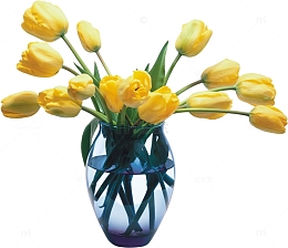 花瓶里的花束