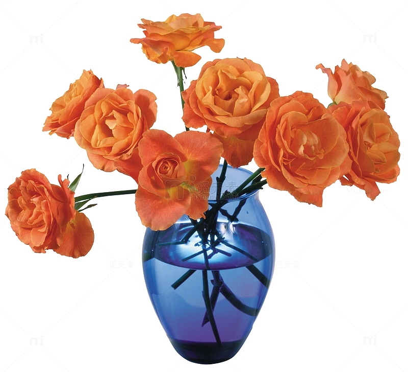 蓝色花瓶黄玫瑰