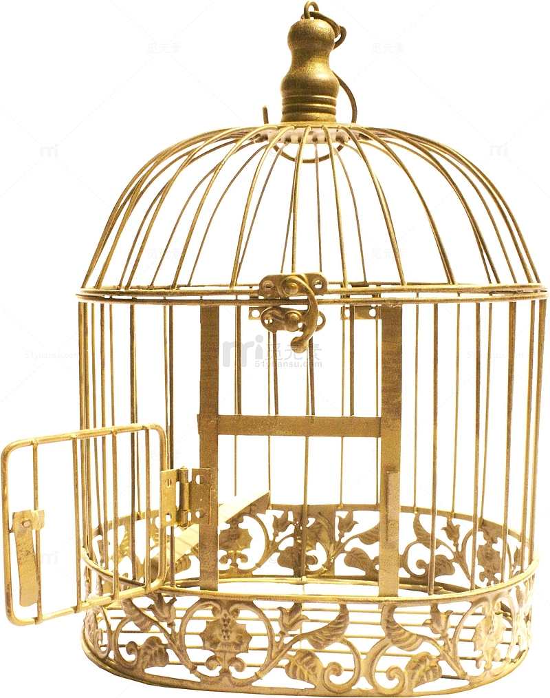 金色鸟笼