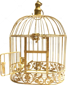 金色笼子