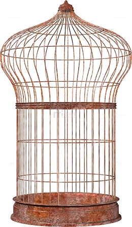 一个鸟笼
