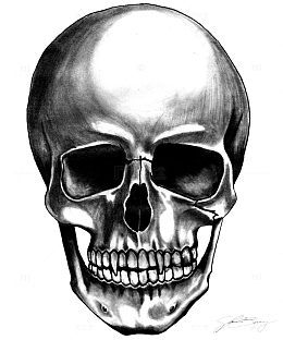 卡通黑白素描骷髅头