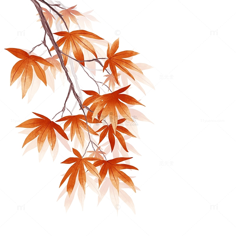 手绘水彩古风秋日红叶中式秋叶寒露节气植物