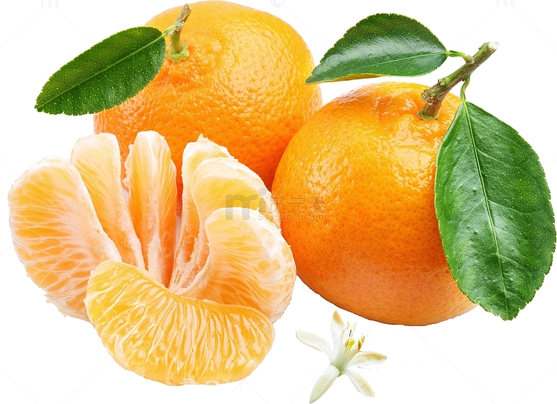 新鲜采摘的橘子