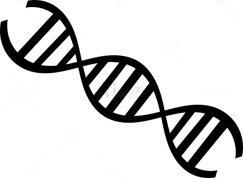 脱氧核糖核酸DNA分子结构图