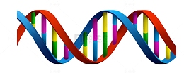 卡通立绘DNA分子结构