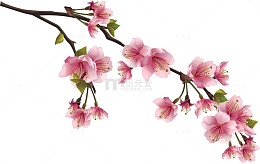 一枝桃花