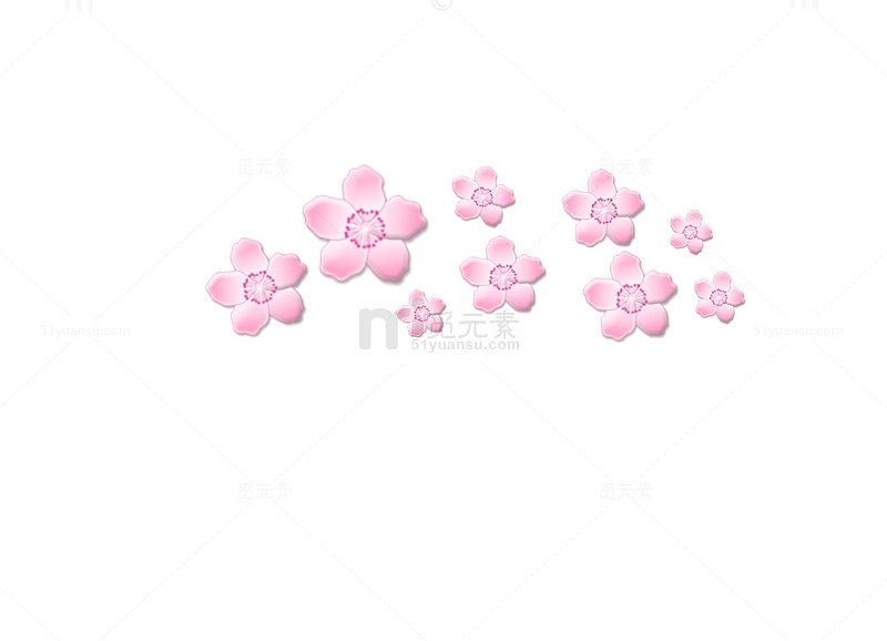 粉色浪漫樱花花朵