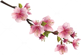 一枝桃花