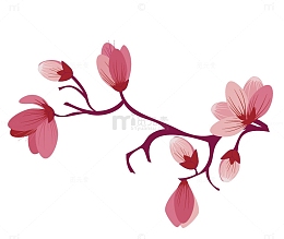 一只彩绘樱花