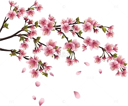 一枝桃花