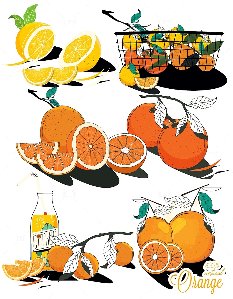手绘卡通水果橙子柠檬插画元素