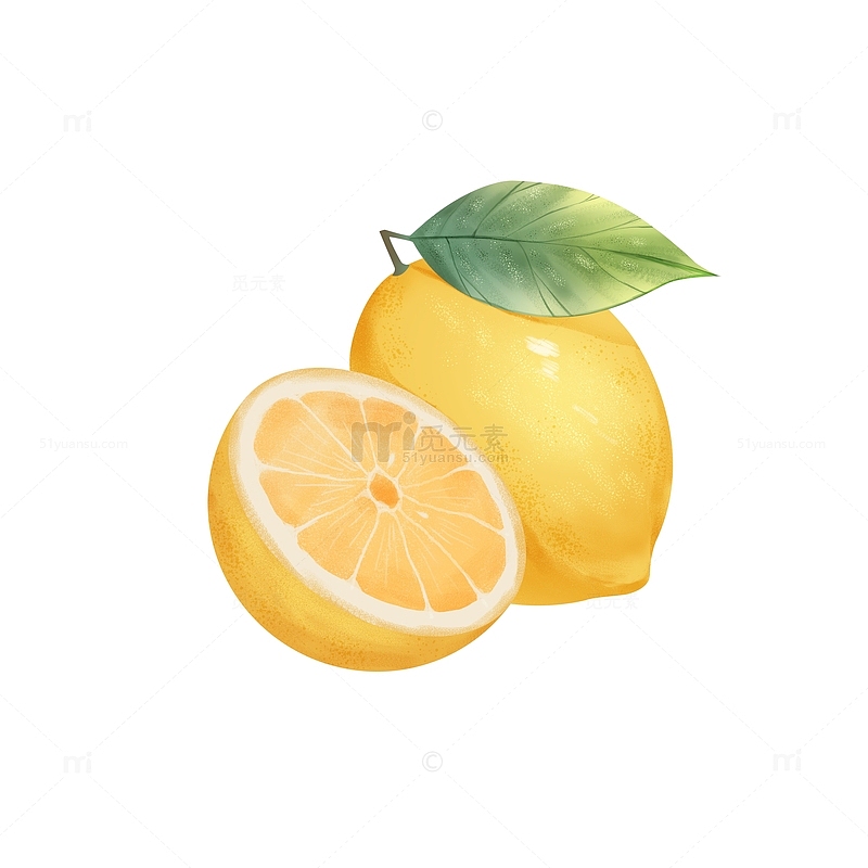 手绘切开的柠檬水果插画元素