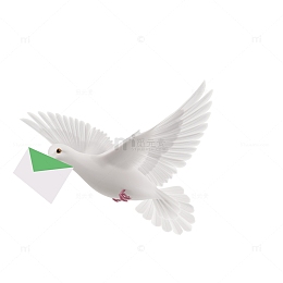 白色的信鸽
