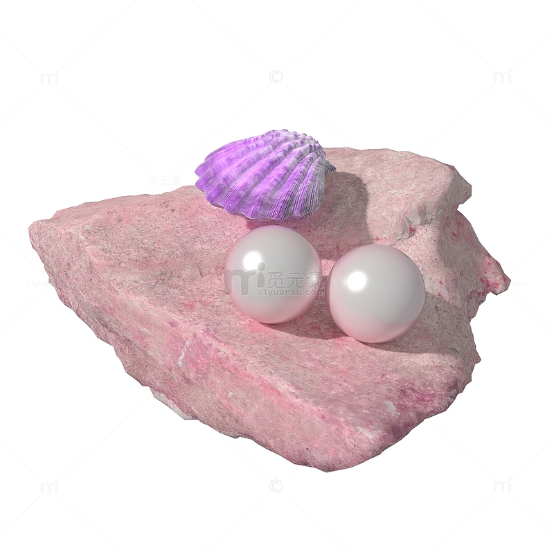 写实石头贝壳珍珠